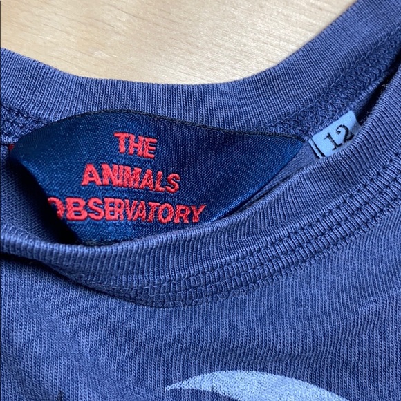 The Animals Observatory Birds Turtle Baby Bodysuit - Picture 3 of 3